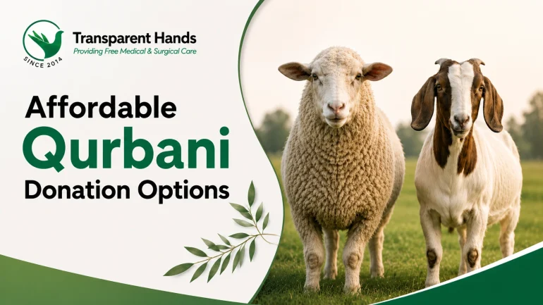 Affofrdable Qurbani Share