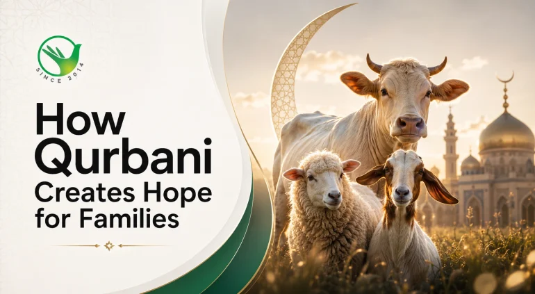 Qurbani For Families