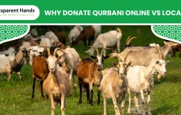 Benefits of Charity Qurbani