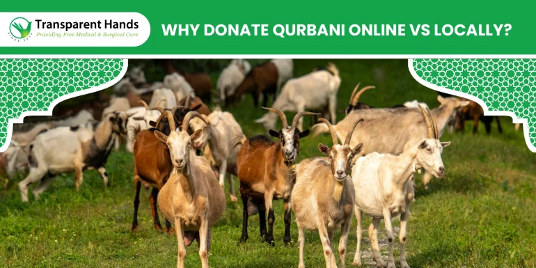 Benefits of Charity Qurbani