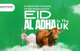 Qurbani Animal for Eid al-Adha