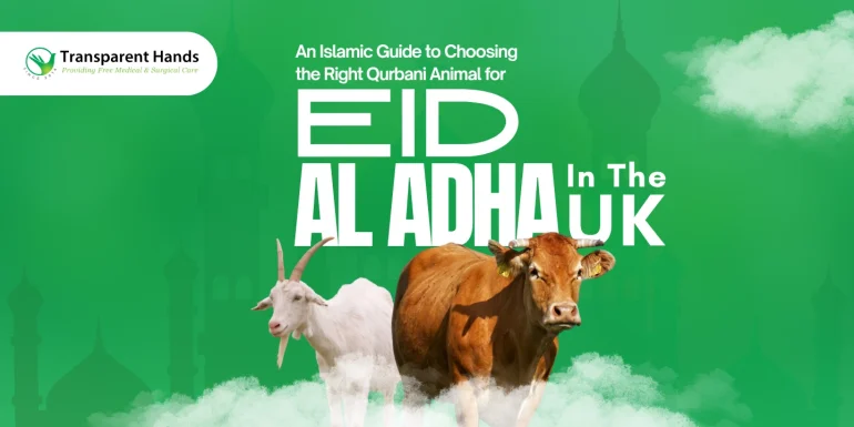 Qurbani Animal for Eid al-Adha