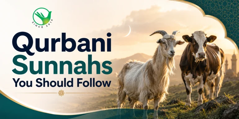 Qurbani Sunnahs
